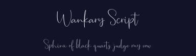 Wankary Script by Beautypes — Script Handwritten Font — thumbnail 2