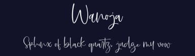 Wanoja by Vunira Design — Script Handwritten Font — thumbnail 2
