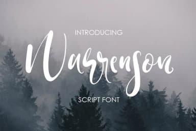 Warrenson Font by Creativeqube Design — Script Handwritten Font — thumbnail 1