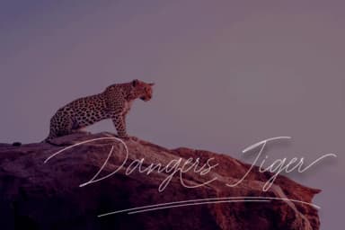 Washington Font by Fajry's Type — Script Handwritten Font — thumbnail 9