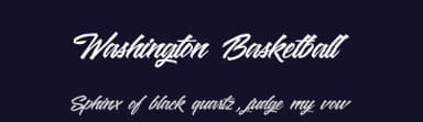 Washington Basketball by Octotype  | Thomas Boucherie — Script Handwritten Font — thumbnail 2
