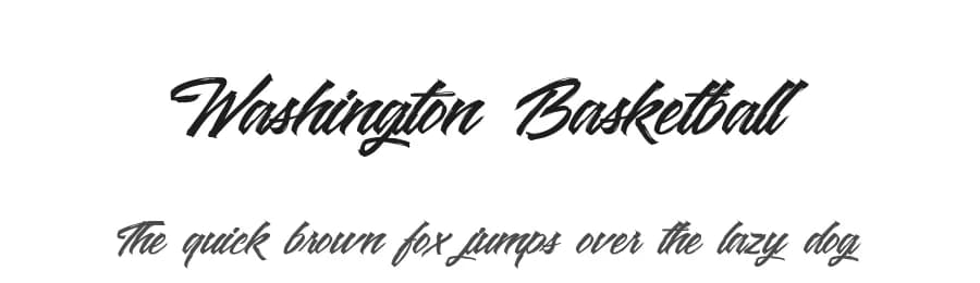 Washington Basketball by Octotype  | Thomas Boucherie — Script Handwritten Font