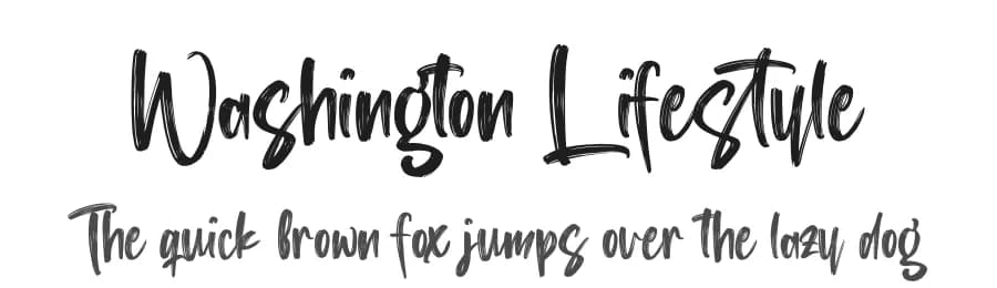 Washington Lifestyle by Perspectype Studio - Letterena.com — Script Handwritten Font