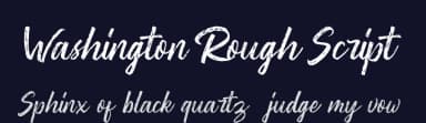 Washington Rough Script by Youthlabs Studio — Script Handwritten Font — thumbnail 2