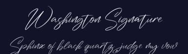 Washington Signature by Perspectype Studio - Letterena.com — Script Handwritten Font — thumbnail 2