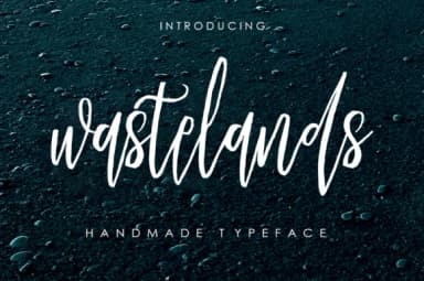Wastelands Font by Youngtype — Script Handwritten Font — thumbnail 1