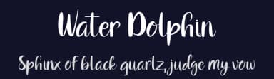 Water Dolphin by nomlimofont — Script Handwritten Font — thumbnail 2