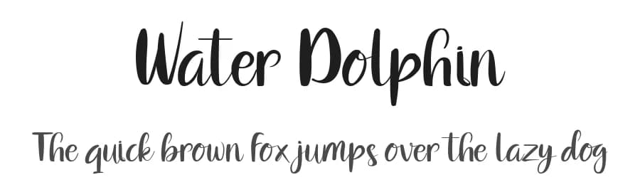 Water Dolphin by nomlimofont — Script Handwritten Font