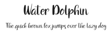 Water Dolphin by nomlimofont — Script Handwritten Font — thumbnail 1