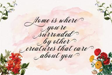 Waterbug Font by Danti — Script Handwritten Font — thumbnail 3