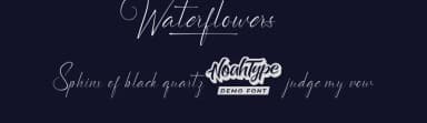 Waterflowers by Noah Type — Script Handwritten Font — thumbnail 2