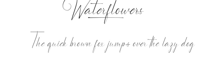 Waterflowers by Noah Type — Script Handwritten Font