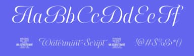 Watermint Script by Måns Grebäck — Script Handwritten Font — thumbnail 3