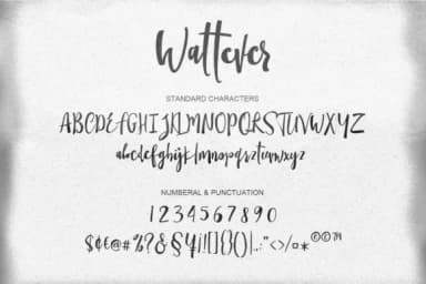 Wattever Font by BONJOURTYPE — Script Handwritten Font — thumbnail 4