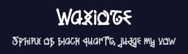 Waxioze by Dhabee Studio — Script Handwritten Font — thumbnail 2