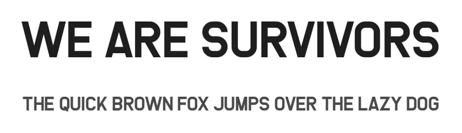 We Are Survivors by Chequered Ink — Sans Serif Font