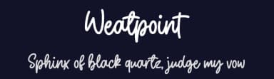 Weatpoint by StringLabs Creative Studio — Script Handwritten Font — thumbnail 2