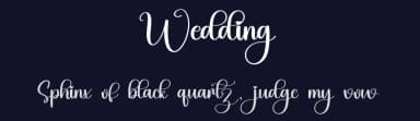 Wedding by Inermedia Studio — Script Handwritten Font — thumbnail 2