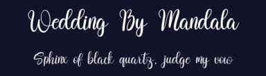 Wedding By Mandala by FreshtypeINK — Script Handwritten Font — thumbnail 2