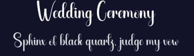 Wedding Ceremony by Andi Moz — Script Handwritten Font — thumbnail 2