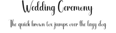 Wedding Ceremony by Andi Moz — Script Handwritten Font — thumbnail 1