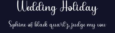 Wedding Holiday by Belina Studio — Script Handwritten Font — thumbnail 2