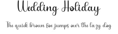 Wedding Holiday by Belina Studio — Script Handwritten Font — thumbnail 1