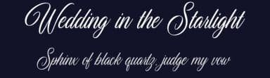 Wedding in the Starlight by Cat.B — Script Handwritten Font — thumbnail 2