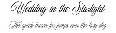 Wedding in the Starlight by Cat.B — Script Handwritten Font — thumbnail 1