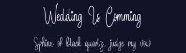 Wedding Is Comming by Scratchones — Script Handwritten Font — thumbnail 2