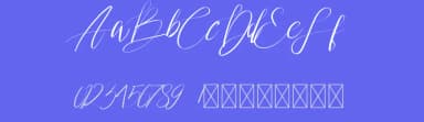 Wedding Joy by fhammadiq std — Script Handwritten Font — thumbnail 3