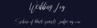 Wedding Joy by fhammadiq std — Script Handwritten Font — thumbnail 2