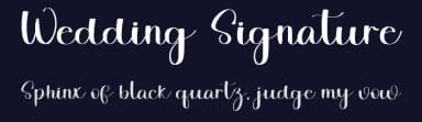 Wedding Signature by FreshtypeINK — Script Handwritten Font — thumbnail 2