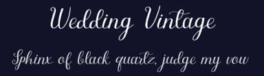 Wedding Vintage by Erik Studio — Script Handwritten Font — thumbnail 2