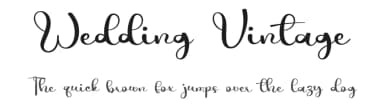 Wedding Vintage by Fana Merah Jambu — Script Handwritten Font — thumbnail 1
