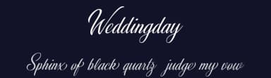 Weddingday by Billy Argel Fonts ® — Script Handwritten Font — thumbnail 2
