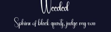 Weeded by Andi Moz — Script Handwritten Font — thumbnail 2