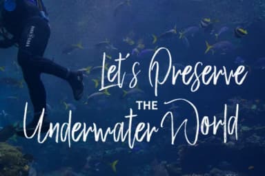 Weisshorn Font by Bal Studio — Script Handwritten Font — thumbnail 9