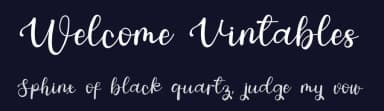 Welcome Vintables by Inermedia Studio — Script Handwritten Font — thumbnail 2