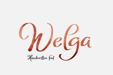 Welga Font by Digital Typeface Studio — Script Handwritten Font — thumbnail 2