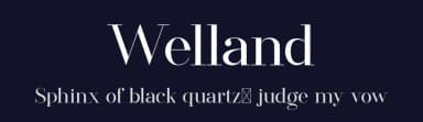 Welland by FactoryType — Serif Font — thumbnail 2