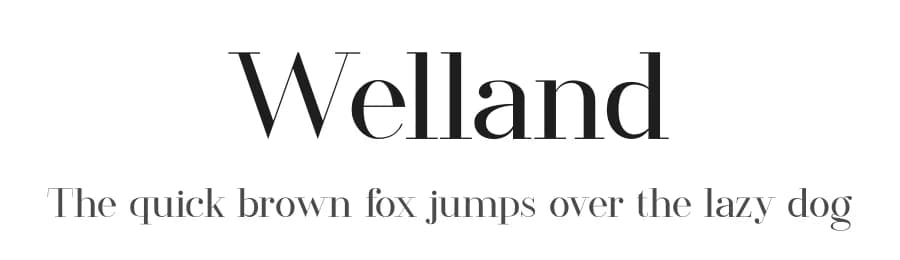Welland by FactoryType — Serif Font — preview 1