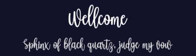 Wellcome by Fillo Graphic — Script Handwritten Font — thumbnail 2