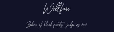 Wellfare by Maulana Creative — Script Handwritten Font — thumbnail 2
