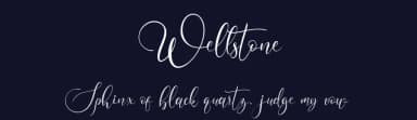 Wellstone by HansCo — Script Handwritten Font — thumbnail 2