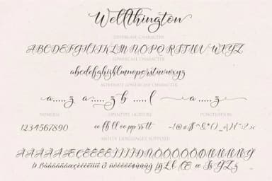 Wellthington Font by Byuly Ayika — Script Handwritten Font — thumbnail 9