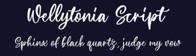 Wellytonia Script by Letterhend Studio — Script Handwritten Font — thumbnail 2