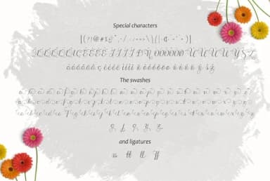 Wenny Script Font by Jamalodin — Script Handwritten Font — thumbnail 4