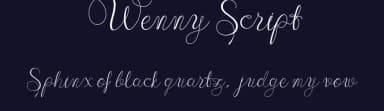 Wenny Script by JamalCreativeStudio — Script Handwritten Font — thumbnail 2