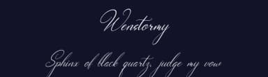 Wenstormy by Gracetype Studio — Script Handwritten Font — thumbnail 2